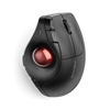 KENSINGTON TECHNOLOGY K75370JP Pro Fit Ergo Vertical Wireless Trackball (K75370JP)