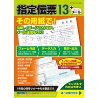 TB 指定伝票 13 (CIDD55)画像