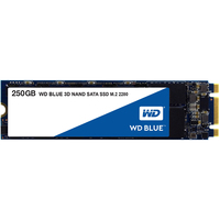 Western Digital WD Blue 3D NAND SATA SSD M.2 2280 250GB (WDS250G2B0B)画像