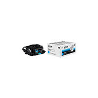 EPSON LPC3T39CV 環境推進トナー/シアン/Lサイズ (LPC3T39CV)画像