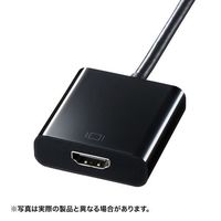 サンワサプライ DisplayPort-HDMI 変換アダプタ AD-DPPHD01 (AD-DPPHD01)画像
