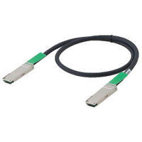 Allied Telesis AT-QSFP1CU (QSFP+(40G)及び1m多軸銅線ケーブル一体型モジュール) (0793R)画像