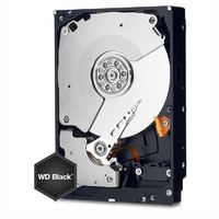 Western Digital WD Black/500GB/SATA 6.0Gb/s /64MB/7200rpm/3.5inch (WD5003AZEX)画像