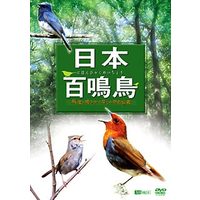 シンフォレスト 日本百鳴鳥 映像と鳴き声で愉しむ野鳥図鑑 (SDA84)画像